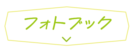 フォトブック
