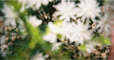 自撮りのコツは撮影距離イメージ画像