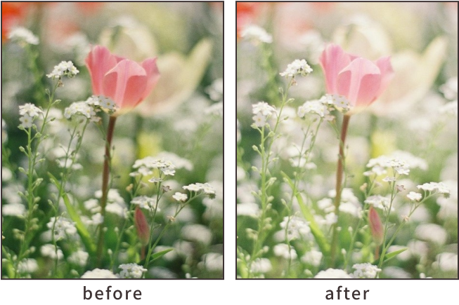 明るく仕上げる「ハイキー」作例