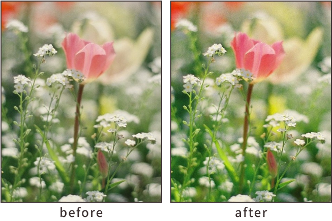 鮮やかに仕上げる「カラフル」作例