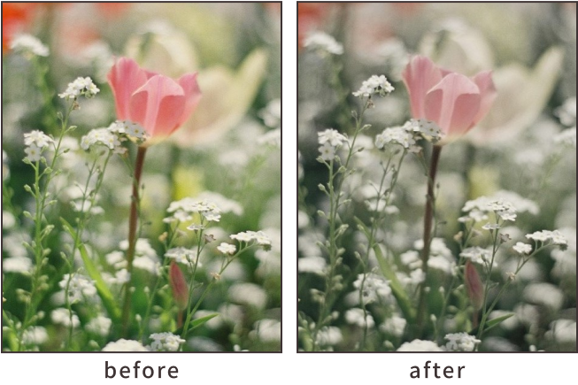 彩度をおさえて仕上げる「レトロ」作例