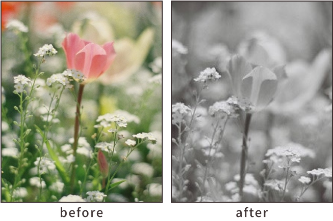 テイストを変える「モノクロテイスト」作例