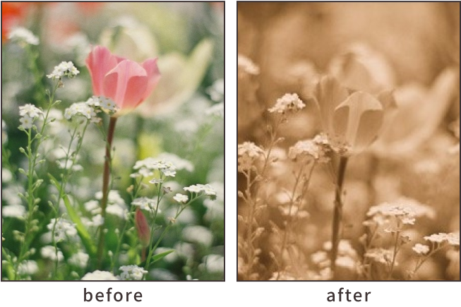 テイストを変える「セピアテイスト」作例