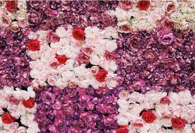 FUJICOLOR 100作例画像