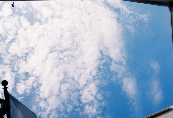 FUJICOLOR 100作例画像