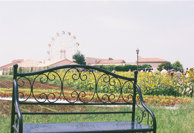 SUPERIA PREMIUM 400作例画像