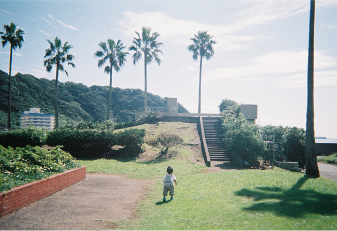 写ルンです シンプルエース作例画像