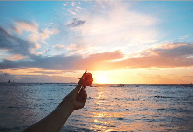 写ルンです シンプルエース作例画像