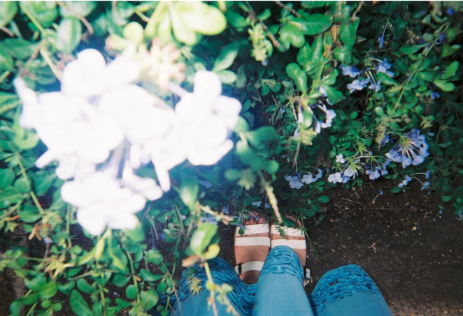 写ルンです シンプルエース作例画像