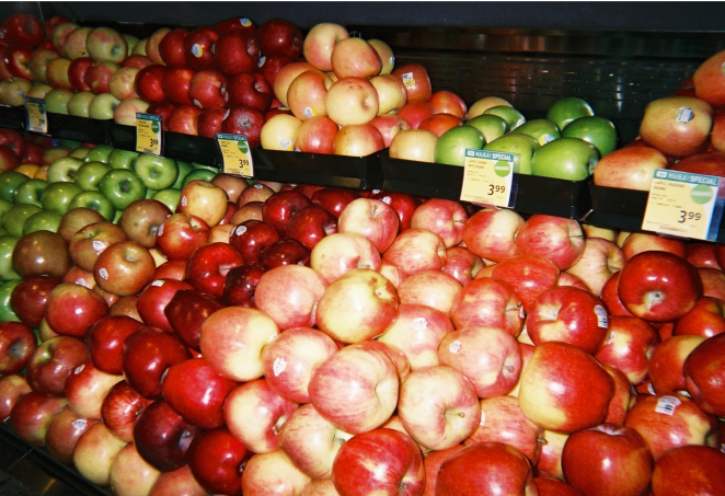 写ルンです シンプルエース作例画像