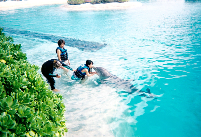 写ルンです シンプルエース作例画像