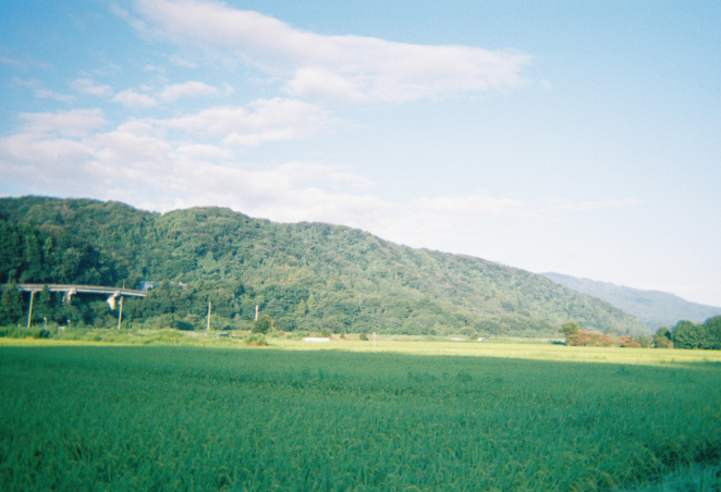 コダック ファンセーバー作例画像