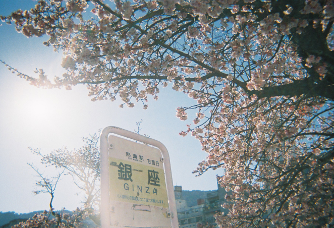 コダック ファンセーバー作例画像