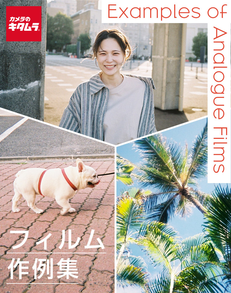 フィルム作例集