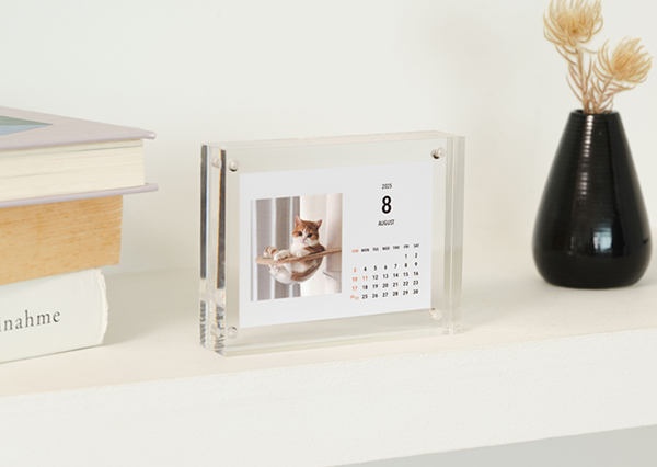 猫がプリントされたアクリルカレンダーイメージ