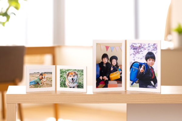 フォトフィーユイメージ画像