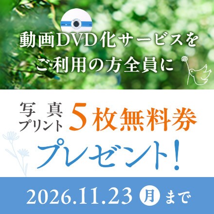 フォトスタご利用でプリント5枚無料券プレゼント11月23日まで