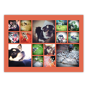 ワンダーシャッフルプリント