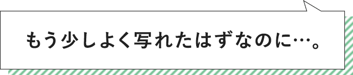 もう少しよく写れたはずなのに…