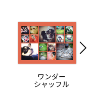 ワンダーシャッフル