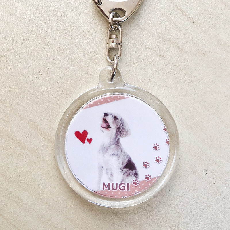 裏面はお気に入りの写真を入れられます