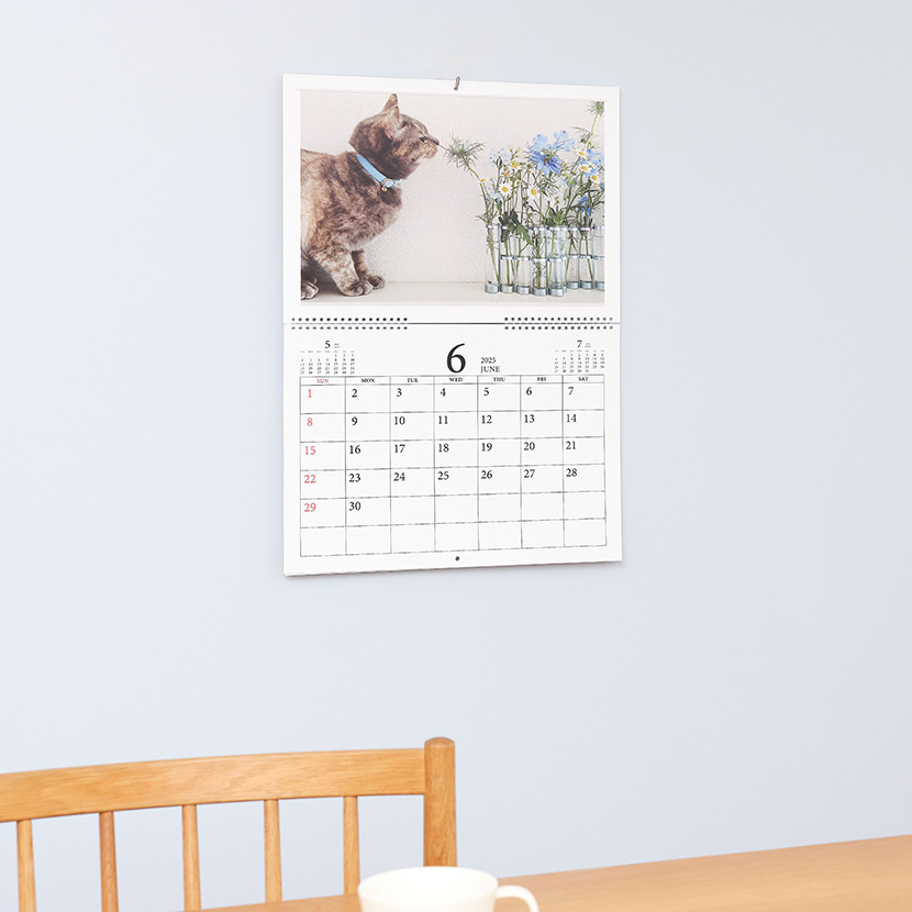 COYOMI(壁かけカレンダー)イメージ