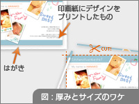 図：厚みとサイズのワケ