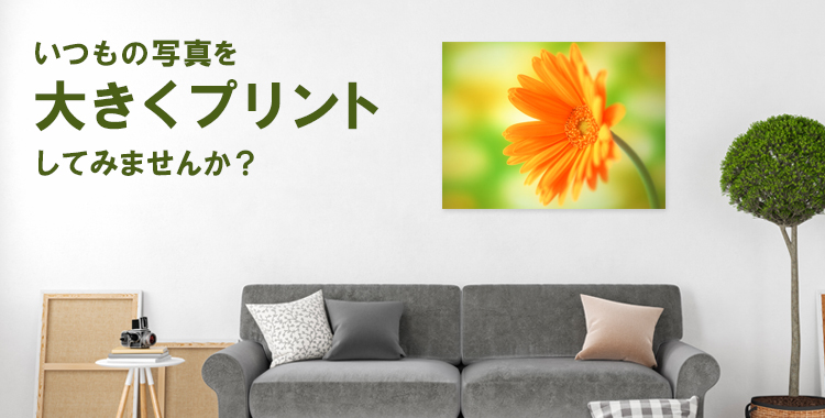 カメラのキタムラ】いつもの写真を大きくプリントしてみませんか？｜写真プリント・ネットプリントサービス