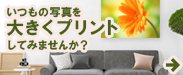 いつもの写真を大きくプリントしてみませんか？