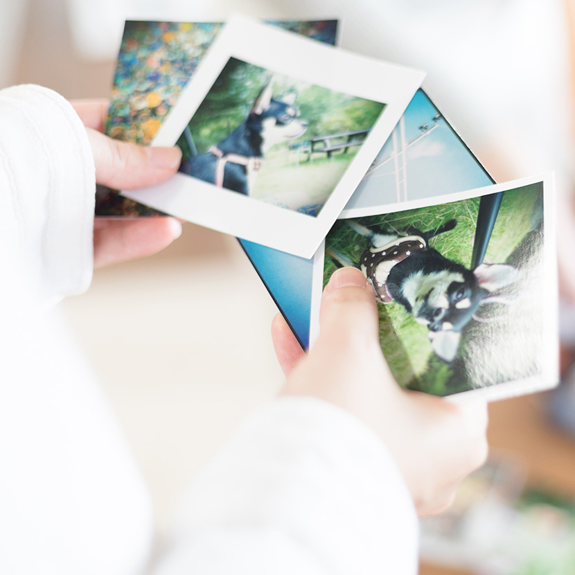 こだわり写真プリントイメージ