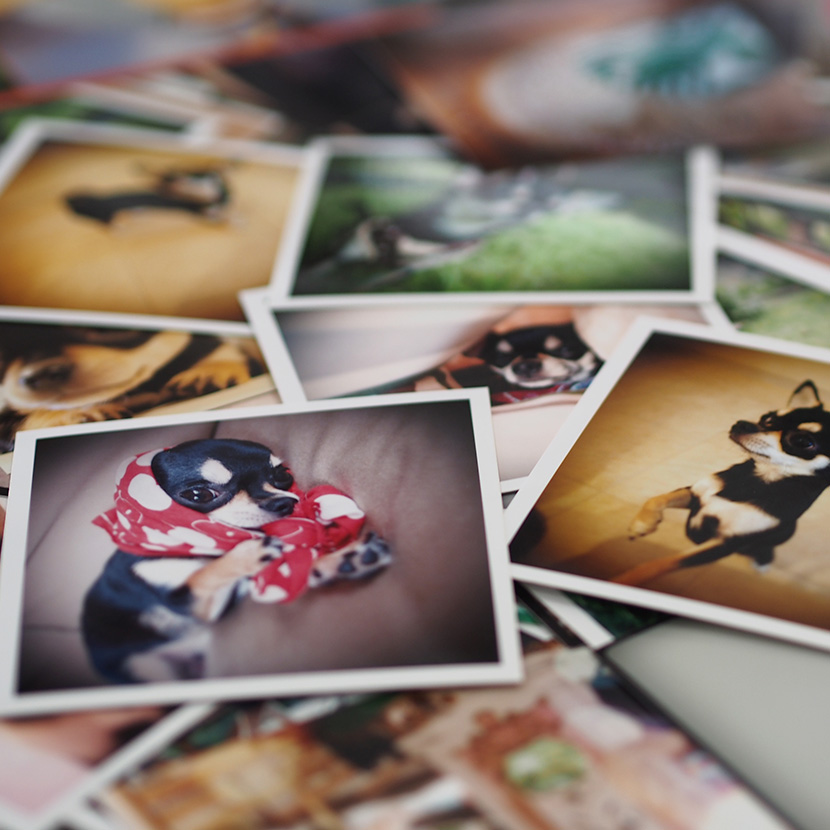 こだわり写真プリントイメージ