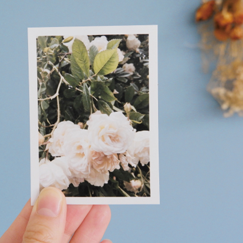 ハーフサイズプリントイメージ