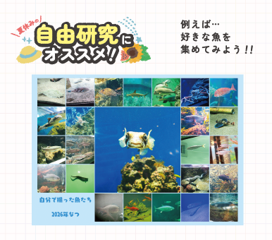 ワンダーシャッフルプリントイメージ