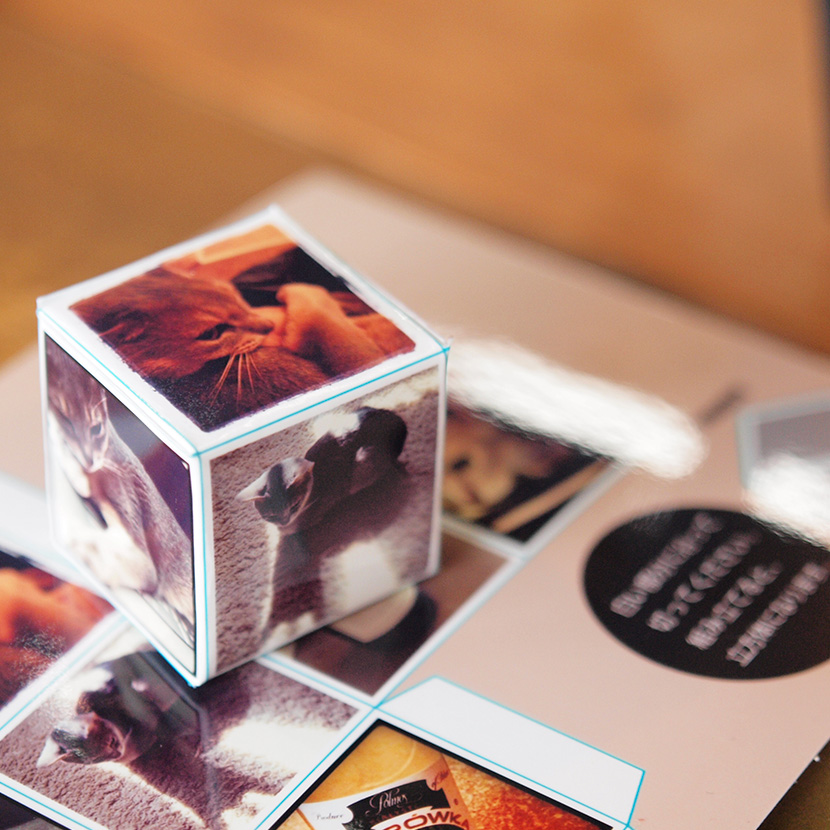 ワンダーシャッフルプリントイメージ