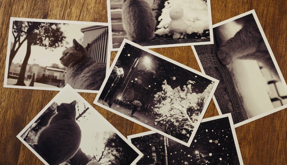 写真はなぜ色褪せる?色褪せてしまった写真を復元させる方法は?